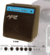 T30 Gitarrenverstärker